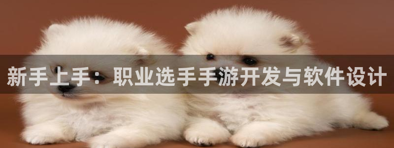 V8娱乐注册：新手上手：职业选手手游开发与软件设计
