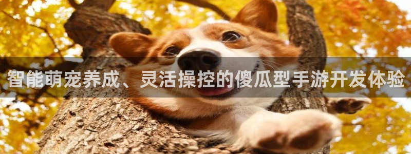 V8娱乐：智能萌宠养成、灵活操控的傻瓜型手游开发体验