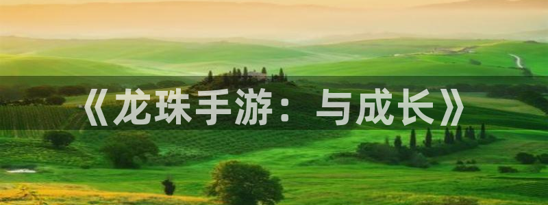 V8娱乐官网：《龙珠手游：与成长》