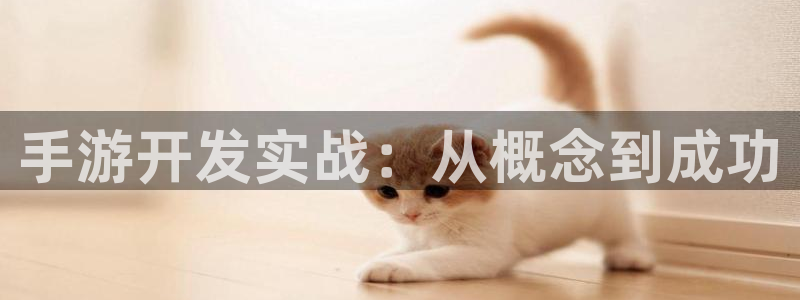 V8娱乐官网：手游开发实战：从概念到成功