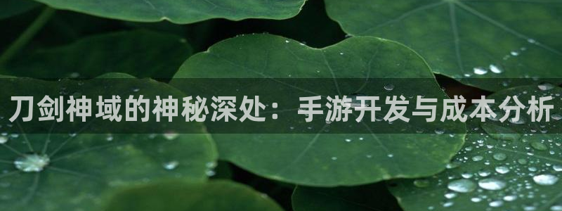 V8娱乐网：刀剑神域的神秘深处：手游开发与成本分析