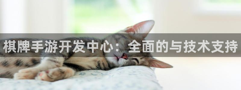 V8娱乐平台：棋牌手游开发中心：全面的与技术支持