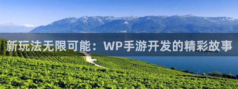 V8娱乐平台：新玩法无限可能：WP手游开发的精彩故事