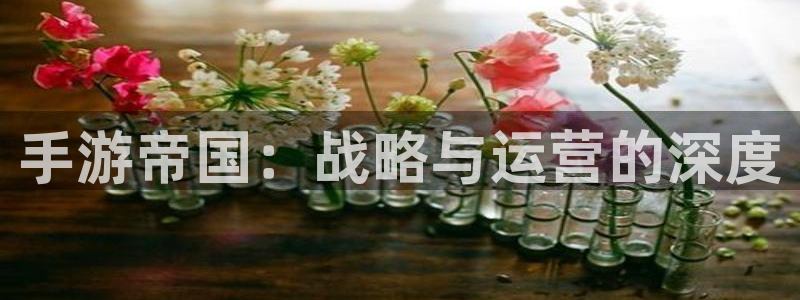V8娱乐：手游帝国：战略与运营的深度