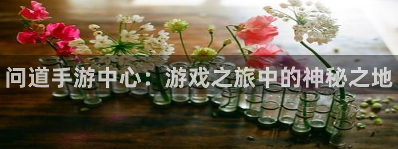 V8娱乐：问道手游中心：游戏之旅中的神秘之地