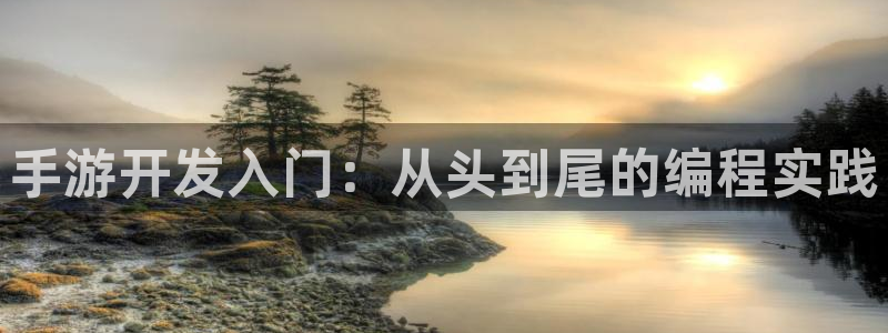 V8娱乐登录：手游开发入门：从头到尾的编程实践