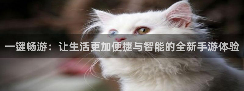 V8娱乐：一键畅游：让生活更加便捷与智能的全新手游体验