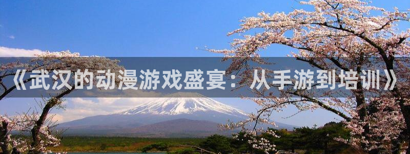 V8娱乐网：《武汉的动漫游戏盛宴：从手游到培训》