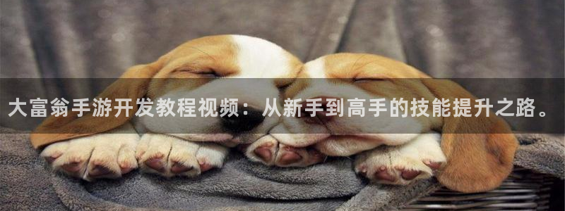 V8娱乐：大富翁手游开发教程视频：从新手到高手的技能提升之路